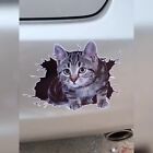3D Kitten Car/Laptop Universal Decorative Sticker | Polyvinyl Chloride Decal