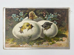 Postcard Wishing You Easter Joy Baby Chicks Hatching Out Of Eggs DB Wellsburg NY - Picture 1 of 2