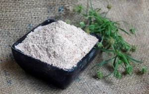 Krauterino24 - Semi di pulci gialli macinati indiani - 1000g - Foto 1 di 1