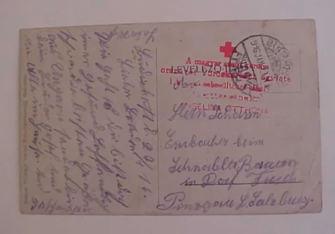 HUNGARY RED CROSS 1916 PICTURE HANGING WAR LORDS TO FRANCE Cover