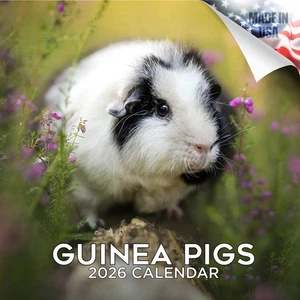 Guinea Pigs Wall Calendar 2026 SUPER CUTE Animal Farm Pet Kids Gift - Picture 1 of 2