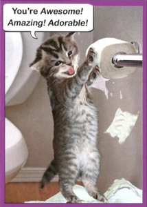 Cat Playing With Toilet Paper Funny Kitten Valentines Day Card - Picture 1 of 2