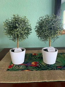 Small tabletop Indoor Faux green topiary trees, 10" tall, Set of Two, NWT - Picture 1 of 5