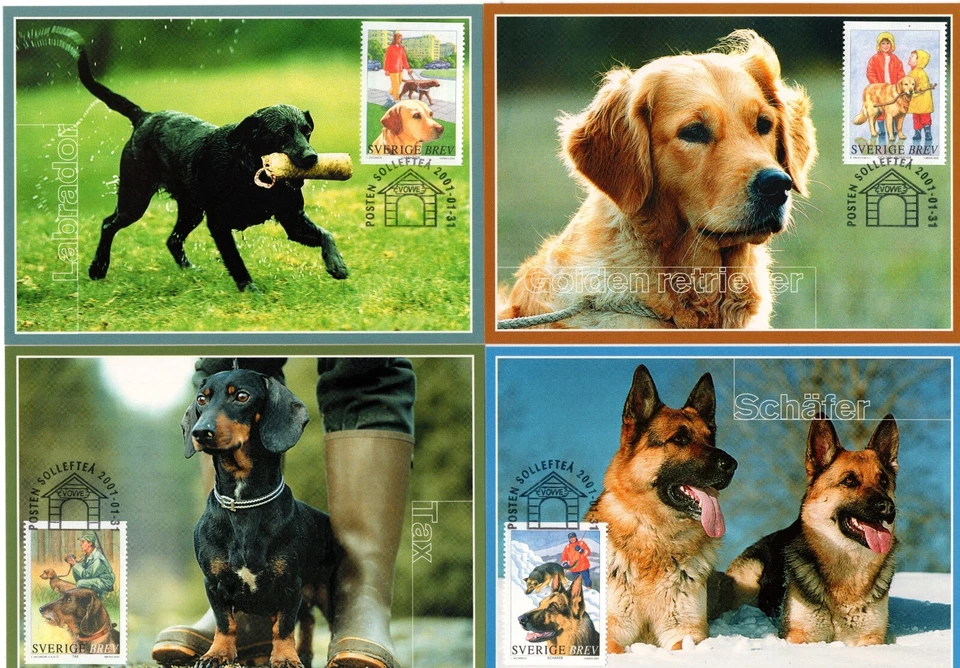 Suecia 2001 animales - perros FDC Foto 1 de 1