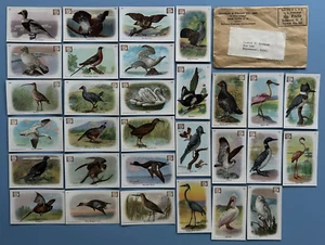 Lot of (30) Full Set Dwights Soda New Series of Birds Series A Original Pkg 1908 - Picture 1 of 6
