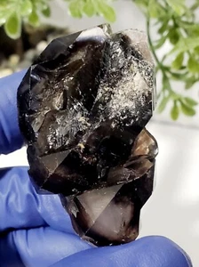 Rauchschwarzer Quarz Skelettquarz Kristall, Fenster, Präparat 38g - Bild 1 von 8