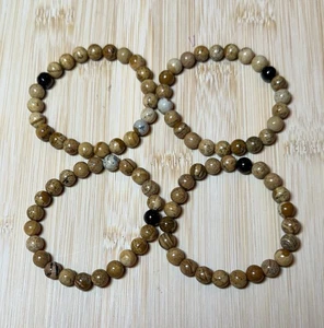 8mm Picture Jasper Stretch Bracelet - Picture 1 of 4