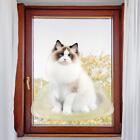 Katzen-Fenstersitzstange, Haustier-Katzenfensterbett, Katzenfenster-Hngematte