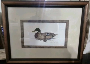 James Fisher Mallard Decoy Print Signed & Numbered - Picture 1 of 7