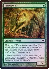 Young Wolf - Foil New MTG Dark Ascension Magic 2B3