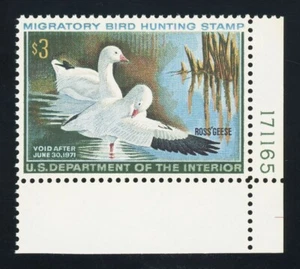 #RW37, $3.00 Ross' Geese, Superb-OG-NH, 2024 PSE (graded 98, nh), SMQ is $350 - Picture 1 of 1