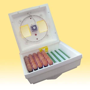 Incubator Kvochka МI–30-1-E for 70 chicken eggs with the corps coup - Imagen 1 de 4