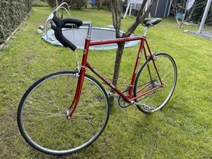 Rennrad Bianchi Rekord - Bild 1 von 12