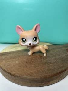 LPS #183 Authentic Littlest Pet Shop Tan Olive Green Eyed Corgi Dog G1 2006 - Picture 1 of 6