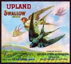 Upland Swallow Bird Orange Citrus Fruit Crate Label Art Print