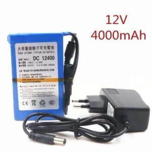 DC 12 V 4000mAh Multipurpose Li-lon Super Rechargeable Battery Pack with Charger - Picture 1 of 6