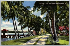 Intercession City Florida 1944 Postcard Coconut Palm Trail Along A Bayou - Picture 1 of 2