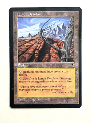 Wasteland Tempest MTG Italian Heavy Play (HP) Creased Magic the Gathering Land 1 - Image 1 of 4
