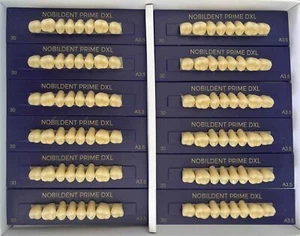 6/8pc Prime Dental Acrylic Resin False Denture Teeth Anterior Posterior A1 - A4 - Picture 1 of 11