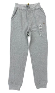 NWT Polo Ralph Lauren Boys Gray Heather Fleece Jogger Pants (2T) - Picture 1 of 2
