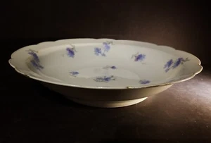 Antike R DELINIERES & CIE D C Limoges Frankreich große Meister Salat Servierschale - Bild 1 von 12