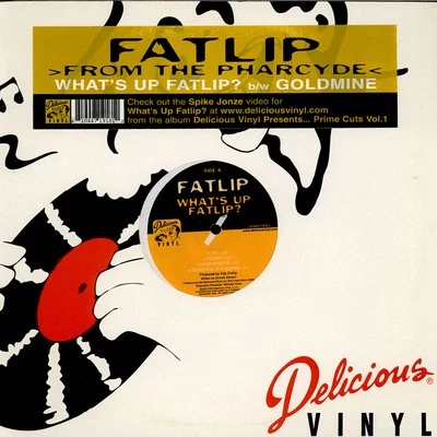 Fat Lip - What's Up Fatlip? / Goldmine (Vinyl 12" - 2000 - US - Original) - Bild 1 von 3
