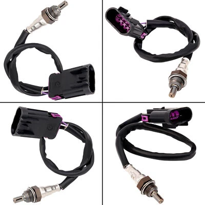 NEW   Oxygen Sensor For Indian CHIEF SPRINGFIELD SCOUT 2016-2024 — 第 1/4 张图片