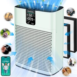 Powerful Rapid Air Purifier for Home - Picture 1 of 4