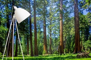 3D Forest Sky Landscape Self-adhesive Removeable Wallpaper Wall Mural1 - Picture 1 of 9