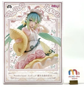 Hatsune Miku Figure The Sleeping Beauty Wonderland TAITO Prize Unopened - Picture 1 of 7
