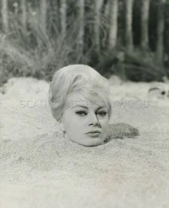 ANITA EKBERG Call Me Bwana 1963 Vintage Original Foto - Bild 1 von 2