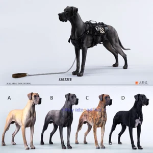 JXK 1/6 Gran Modelo Danés Lindo Perro Animal Figura Colección Decoración Juguete EN STOCK - Imagen 1 de 28