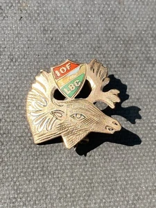 International Order of Foresters IOF LBC 10K GOLD (TESTED) Pin EARLY C-Clasp - Picture 1 of 7