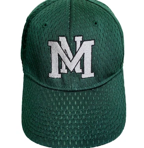 Michigan Wolverines Hat Green NCAA College Game Day Adjustable Adult Cap Hat - Picture 1 of 8