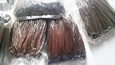 GOURMET Vanilla Beans ORGANIC Grade B GREAT 4 Extract 1 LB (16OZ) LIMITED TIME OFFER!!