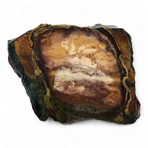 Dino Jasper Slab 156.3 grams. - Picture 1 of 2