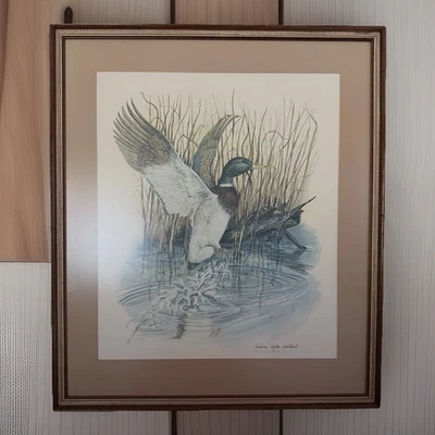 Litografía firmada por Barbara Blythe Winstead 29x25 pato mallardo y tortuga impresión artística Foto 1 de 4