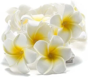 20/40 LED String Light Hawaiian Foam Artificial Plumeria Flowers Battery Powered - Picture 1 of 19
