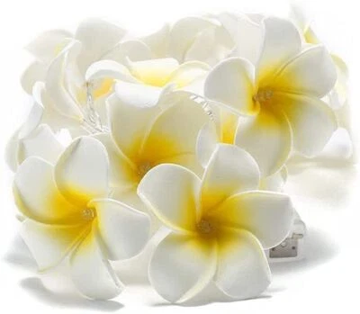 20/40 LED String Light Hawaiian Foam Artificial Plumeria Flowers Battery Powered - Image 1 of 4