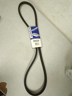Cinturón Buen Año 85620 (5L620) Foto 1 de 3