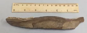 137 Gram Paleolithic 300,000 Year Old Stone Age Artifact from Africa (#F5524) - Picture 1 of 1
