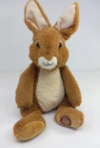 Almohadilla de pata de ojos bordados cuerpo suave peluche animal de peluche Gund Peter Rabbit 13" - Imagen 1 de 10
