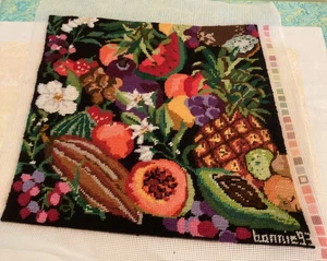 Candamar Needlepoint Completed Finished Fruit - Picture 1 of 6