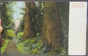 Cartolina vintage Big Trees, Stanley Park, Vancouver B.C. - Foto 1 di 2
