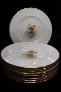 Royal Worcester Multi-Motif Birds Bone China 10 Lunch Plates Artist E. Townsend - Picture 1 of 24