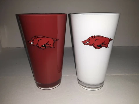 Arkansas Razorbacks NCAA 20 oz Insulated 2-Pack Tumblers Cover