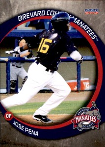 2015 Brevard County Manatees Choice #17 Jose Pena Dominican Republic DR Card