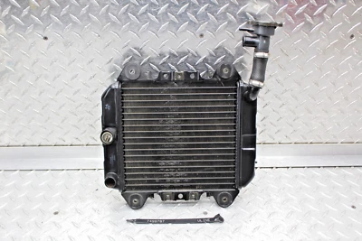 Kawasaki Ninja 250R Ex250F 2005 radiador motor enfriador radiador de refrigeración Foto 1 de 4