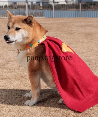 Disfraz de perro Superman 2025, capa y collar de crypto the Superdog regalo de Navidad Foto 1 de 4