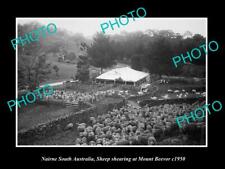 OLD 8x6 HISTORIC AUSTRALIAN WOOL & SHEARING PHOTO MOUNT BEEVOR WOOLSHED c1950